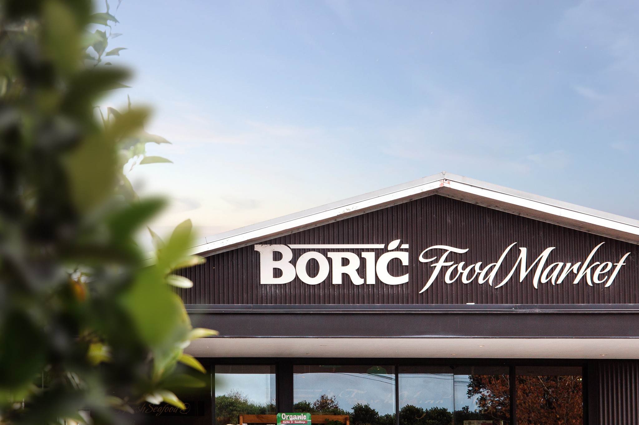 Boric Food Market
