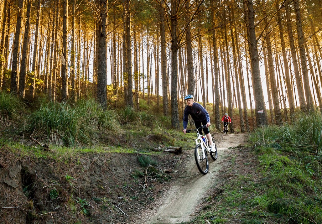 Woodhill Bike Park